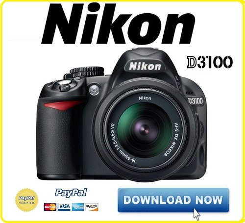 Nikon D3100 User Manual Pdf Download